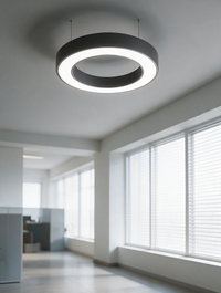 LED Ring Ceiling Light | Black or White, 3 Diameters