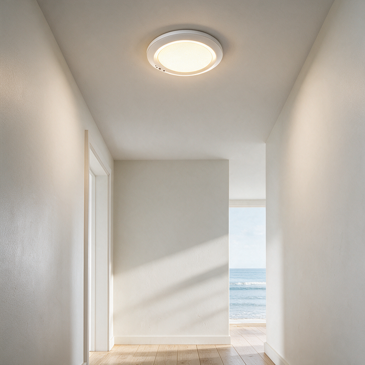 FLUSH MOUNT LIGHTS