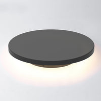 Luminara | Elegant Waterproof Solar Garden Light with Versatile Illumination 7