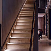 Luminara | Modern Multi-Directional Low Voltage Landscape Step Lights 0