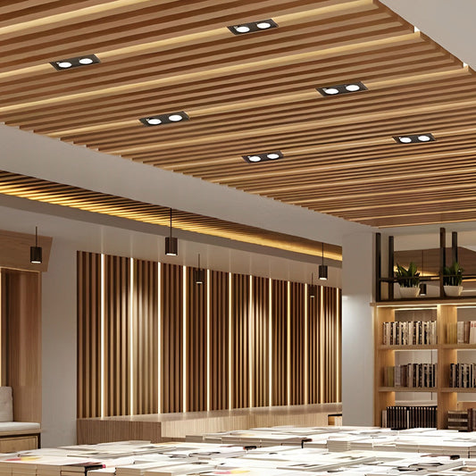 Luminex | Modern Adjustable Rectangular Recessed Twin Spotlight 8