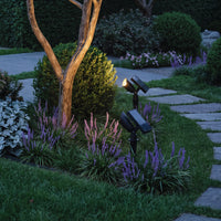 Lumosphere | Versatile Adjustable Solar Landscape Spotlight 1