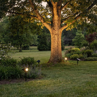 Lumosphere | Versatile Adjustable Solar Landscape Spotlight 2
