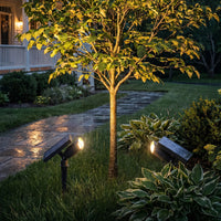 Lumosphere | Versatile Adjustable Solar Landscape Spotlight 3