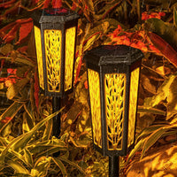 Lumosphere | Vibrant Dual-Color Solar Pathway Stake Light 4