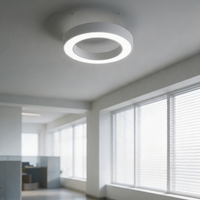 LED Ring Ceiling Light — White